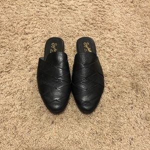 Seychelles Survival Mule